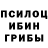 Галлюциногенные грибы прущие грибы Vanilla973