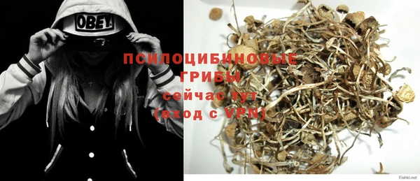 стафф Белокуриха