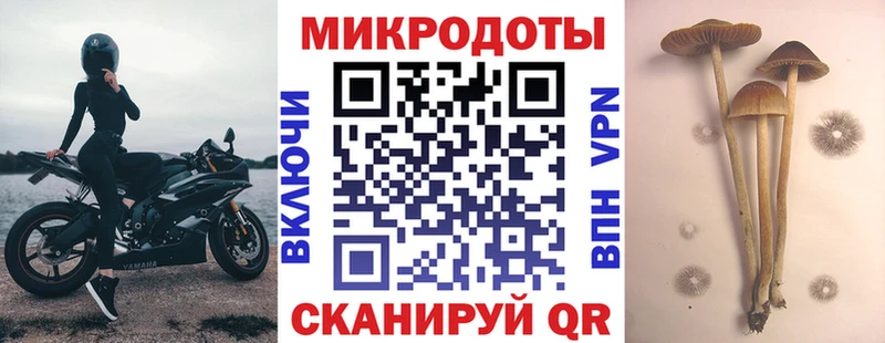 Галлюциногенные грибы Psilocybine cubensis Купить где Сокол